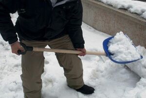 DiMartino 5001B Genel Amaçlı Kürek