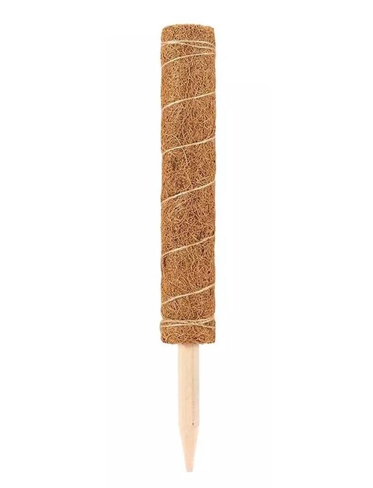 Koko Sarmaşık Destek Çubuğu 80 cm