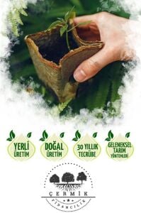 Plastik Bahçe Ve Çiçek Sulama Bidonu 10 L