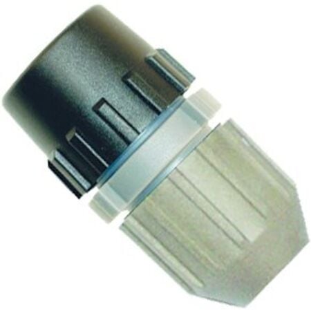 DiMartino Tabanca Boru Ucu Mary, Rosy- 161990