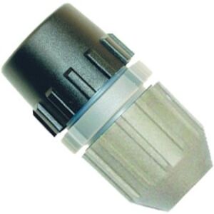 DiMartino Tabanca Boru Ucu Mary, Rosy- 161990