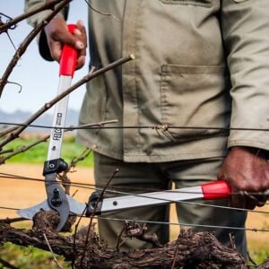 Felco 201-50 Kalın Dal Makası 50 Cm Alüminyum