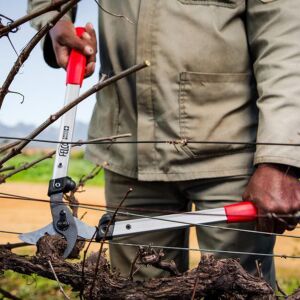 Felco 201-50 Kalın Dal Makası 50 Cm Alüminyum