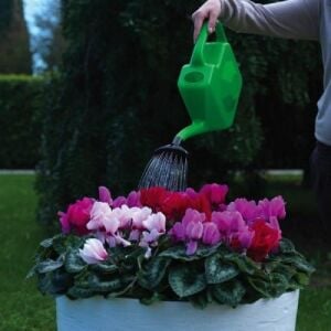 Dimartino Proline Yağmurlama İbriği 8 lt