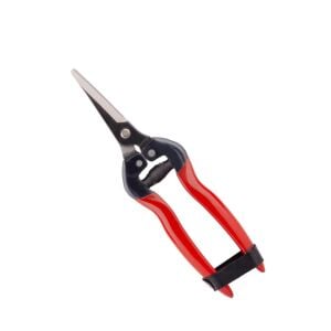 Palmera SP19 Meyve Toplama Makası