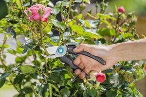 Gardena 12210 Ecoline Budama Makası