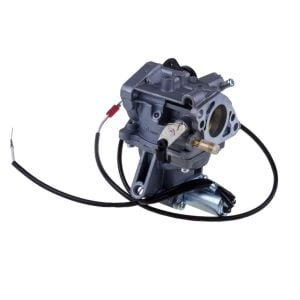 Palmera 1210909 Karbüratör 20HP