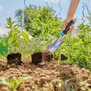 Gardena 17700 Ecoline Bahçe El Malası