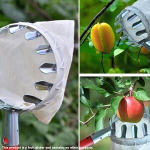 Formosa Meyve Toplama Aparatı - Sapsız