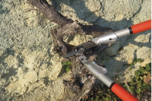 Felco 200A-50 Dal Budama Makası 50cm Alüminyum Çift El