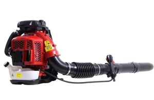 Energy EB850EA Benzinli Üfleme Makinesi