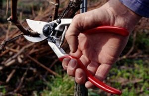 Felco 13 Budama Makası 27cm By-Pass