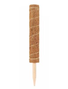 Koko Sarmaşık Destek Çubuğu 80 cm