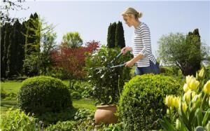 Gardena 12301-20 Çit Makası EasyCut