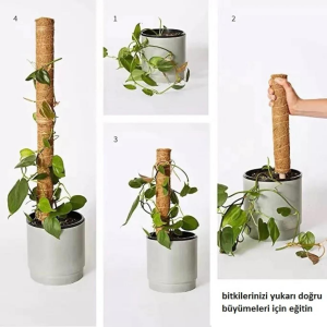 Koko Sarmaşık Destek Çubuğu 110 cm