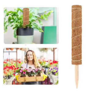 Koko Sarmaşık Destek Çubuğu 110 cm