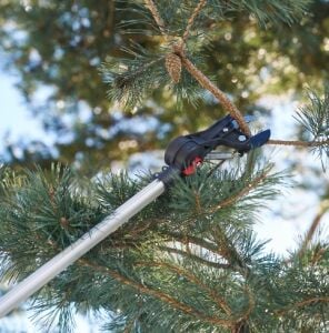 Felco 290 Yüksek Dal Budama Makası Bypass Teleskobik