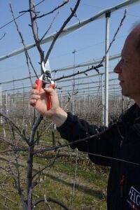 Felco 7 Budama Makası 21cm Sağ By-Pass