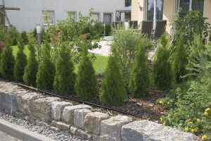 Gardena 1323-20 Sızdırmazlık Tapası 3/16'' -4,6 mm 10 lu Paket