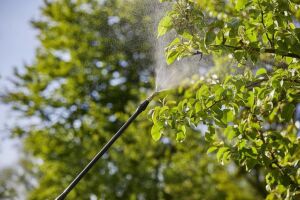 Gardena 11140 Basınçlı Püskürtücü İlaçlama Pompası 12 lt