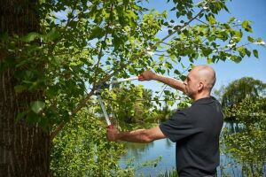 Felco 211-60 Dal Budama Makası 60cm Alüminyum Çift El