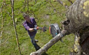 Gardena 12000 Yüksek Dal Budama Makası