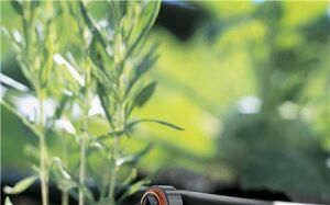 Gardena 8310-20 Son Damlatıcı Basınç Dengeleme 2L/S 10 lu Paket