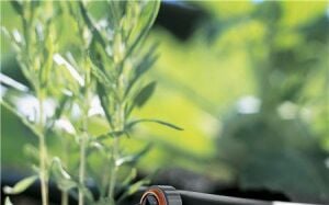 Gardena 8310-20 Son Damlatıcı Basınç Dengeleme 2L/S 10 lu Paket