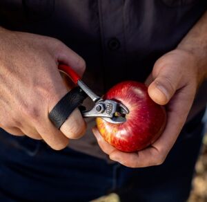 Felco 330 Meyve Hasat Makası